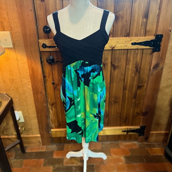 Sweet Storm Dresses & Skirts - Sweet Storm brand black and green exotic print sundress size XL fits like Med.